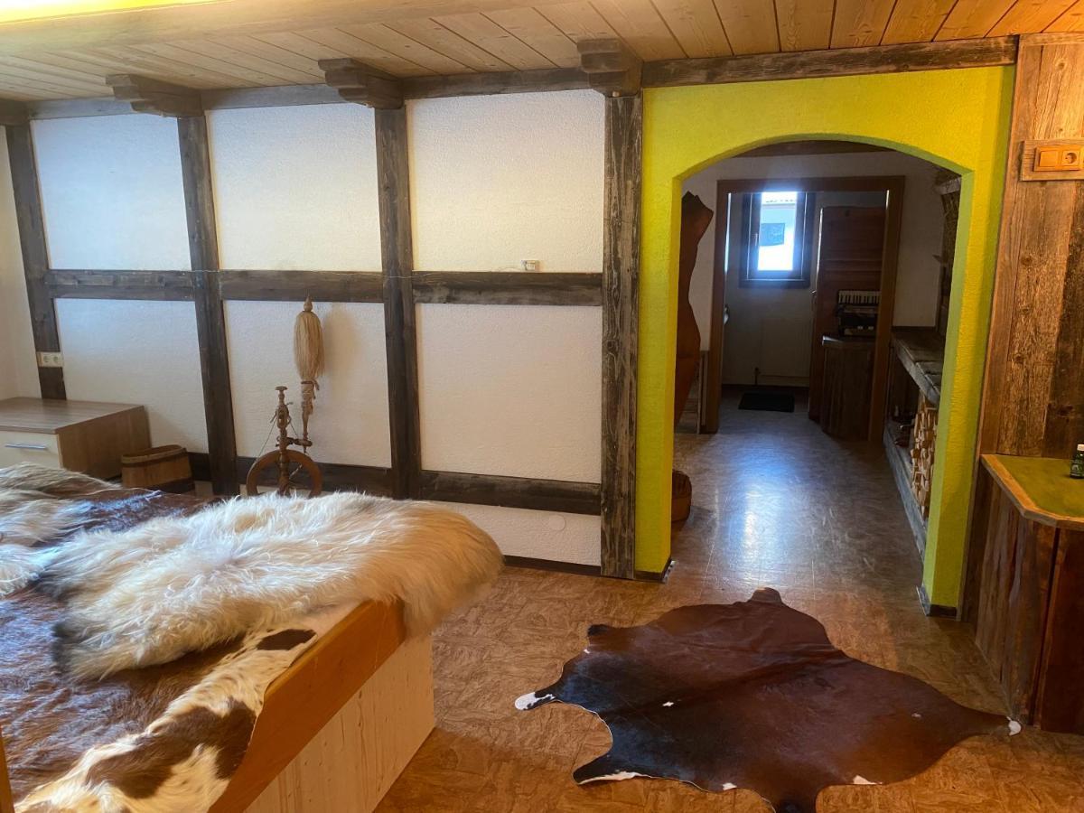 Haus Schnoller Apartment Bach (Tyrol)
